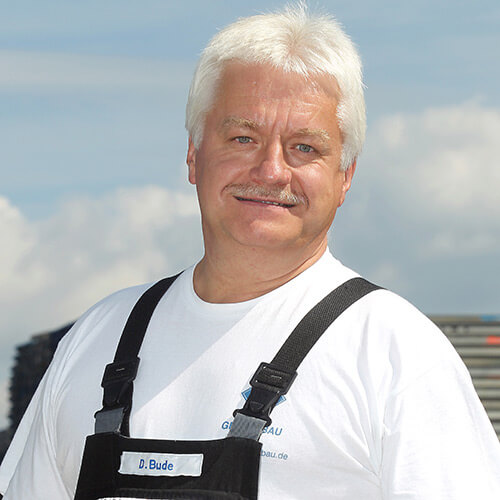 Dietmar Bude